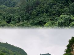 -黔灵山公园