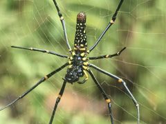 -孔雀湖生态旅游区