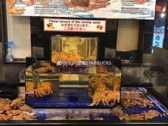 -蟹道乐(道顿堀本店)