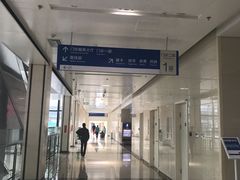 -首都医科大学附属北京天坛医院