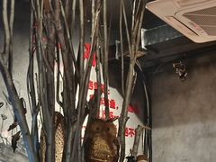 -米氏火鱼·泡椒鱼火锅(李子坝老店)