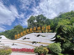 -西双版纳原始森林公园