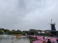 -上海鲜花港