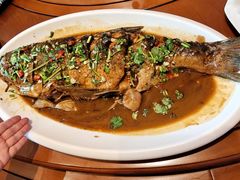 -老长春肉馆(创业大街店)