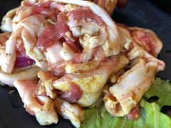 -四斤烤肉(东戴河孟家店)