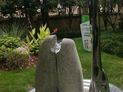 -陈家山荷花公园
