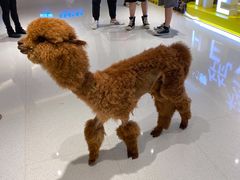 -青岛东方影都融创水世界