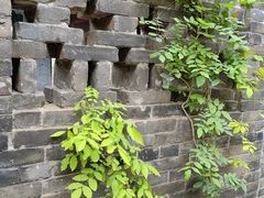 -辽宁古生物博物馆