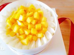 -维尔纳斯·生日蛋糕·动物奶油冰淇淋蛋糕(六里桥店)