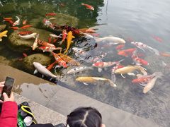 -中国茶叶博物馆(双峰馆区)