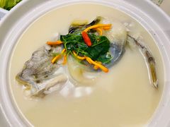 -肆月河豚·新淮扬(金融街店)