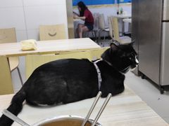 -重庆麻辣烫(国权路店)