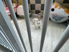 -天宠宠物医院24小时·急重症诊疗中心·全科·腔镜特色(和平分院)