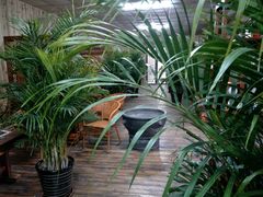 大厅环境-水墨食舍