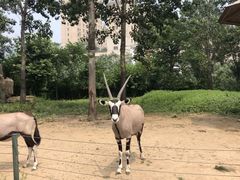 -大连森林动物园