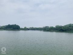 -苏州太湖国家湿地公园