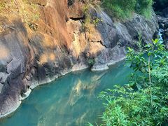 -广州白江湖森林公园