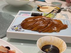 -海派美食·家宴海鲜青岛菜·石锅鲽鱼头(东方城店)