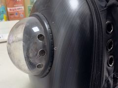 -瑞派长江宠物医院·猫科·外科·24小时夜护(谊城公寓分院)