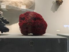 -湖南省地质博物馆