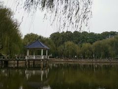 -大通湖