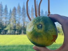 -前小桔亲子创意农场·草莓采摘·露营烧烤