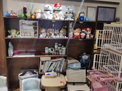 -逗柴咖啡屋·狗咖猫咖宠物桌游