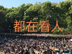 -音乐台