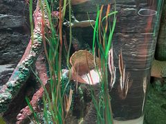 -沈阳海洋探索中心