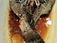 石斑鱼-上海新江南大酒店-中餐厅