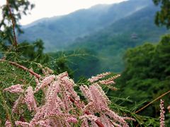 -香山公园
