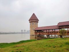 -九龙湖公园