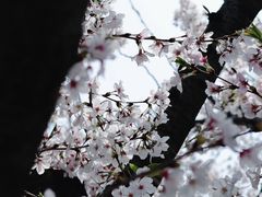 -龙美术馆(西岸馆)