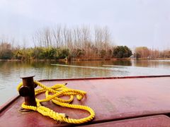 -溱湖国家湿地公园