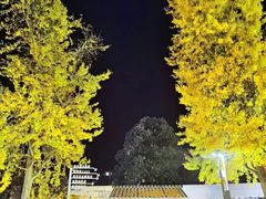 -华凌山庄·隐湖栖