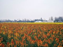 -中国天府农业博览园