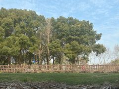 -潮府馆·非遗潮州菜·港式点心(世纪公园店)
