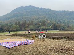 -八卦田遗址公园