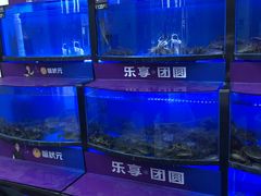 -蟹状元大闸蟹·年货·粽子(成都成华店)