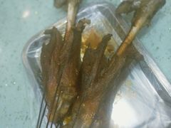 -尕胡才炕锅烤羊肉馆(八一路店)