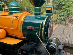 -合肥滨湖国家森林公园