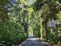 -中国科学院西双版纳热带植物园