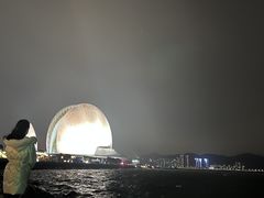 -野狸岛