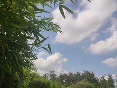 -莱西月湖公园