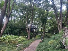 -上海醉白池公园