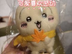 -海底捞火锅(新松江路生日主题店)