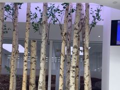 -极简口腔(总院)
