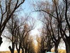 -北陵公园