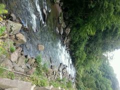 android_upload_pic-望天鹅景区