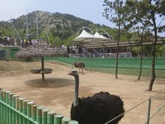 -西霞口神雕山野生动物世界